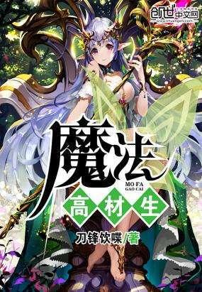塞尔达荒野之息